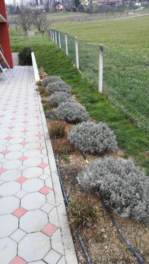 Apartman Lavanda Krapina Extérieur photo